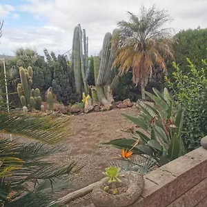 Cactus Apartamento Santa Cruz de Tenerife